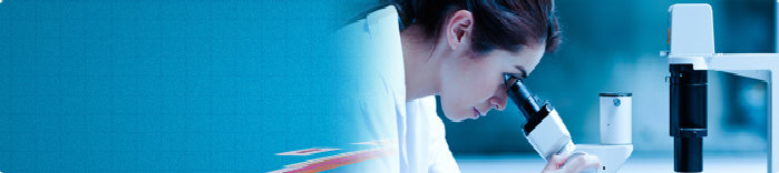 Photo Title sicem003005.jpg